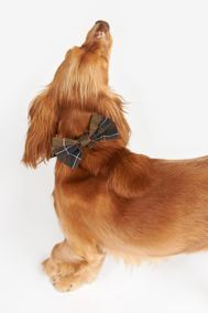 Barbour DAC0032