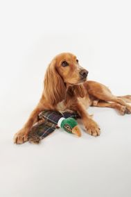 Barbour DAC0080