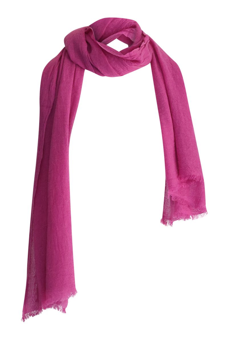 World of wonder PP13