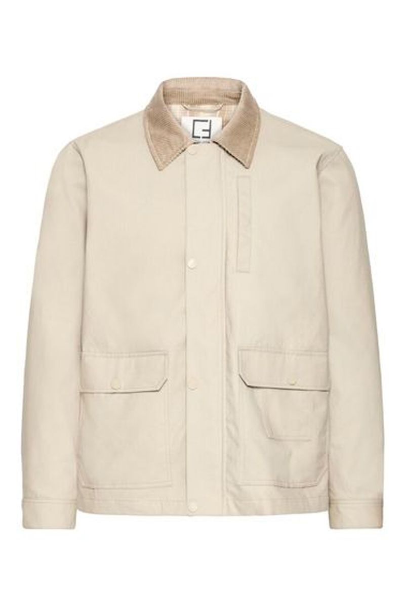 Casual friday 20506179