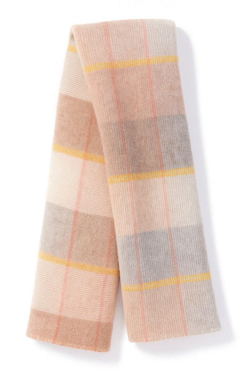 Moment amsterdam DAKAR