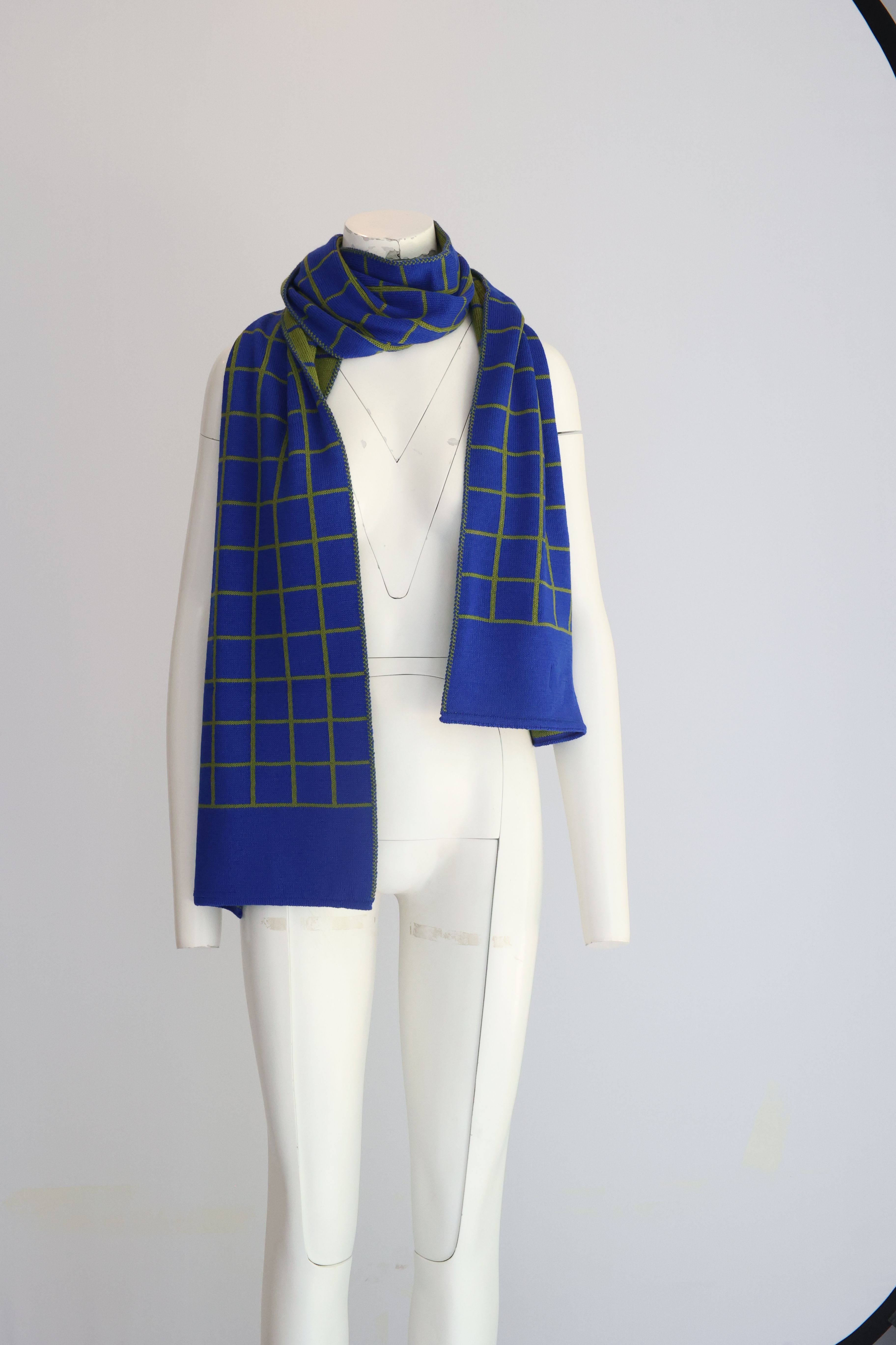 Roos vandekerckhove INES