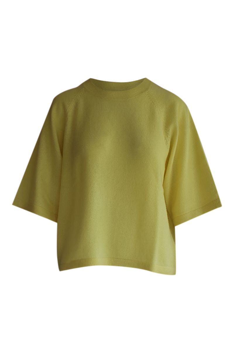 Absolut cashmere LEANA