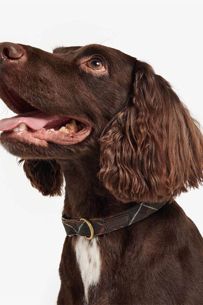 Barbour DAC0005
