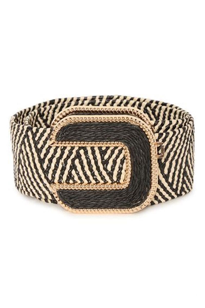 Ichi 20125715 IAVILJA